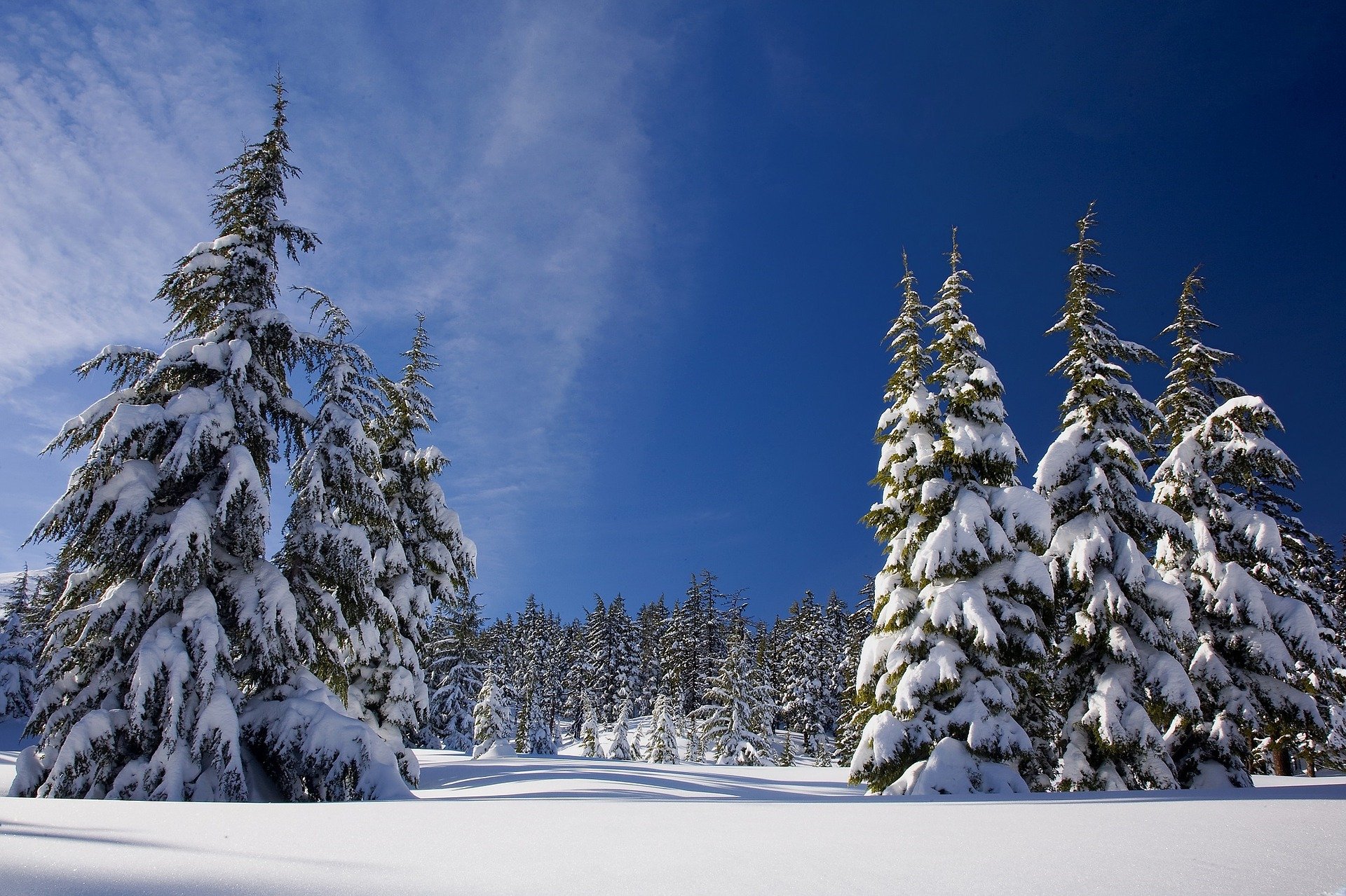 Tips For Seeing Snow For The First Time